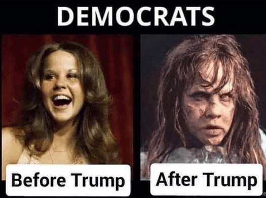 compare and contrast - democrats b4 and after trump.jpg